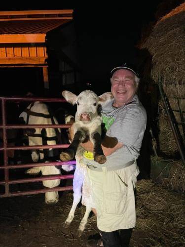 cow